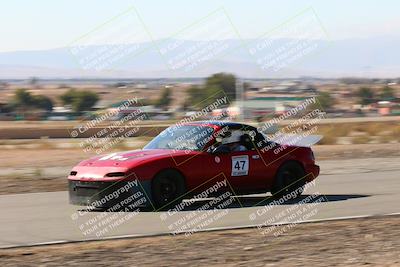 media/Nov-13-2022-VIP Trackdays (Sun) [[2cd065014b]]/B group/Speed Shots/